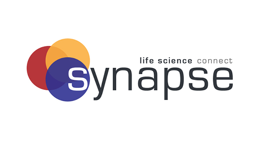 Synapse